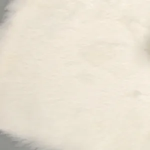 Heavy Bleach White Rabbit Plate